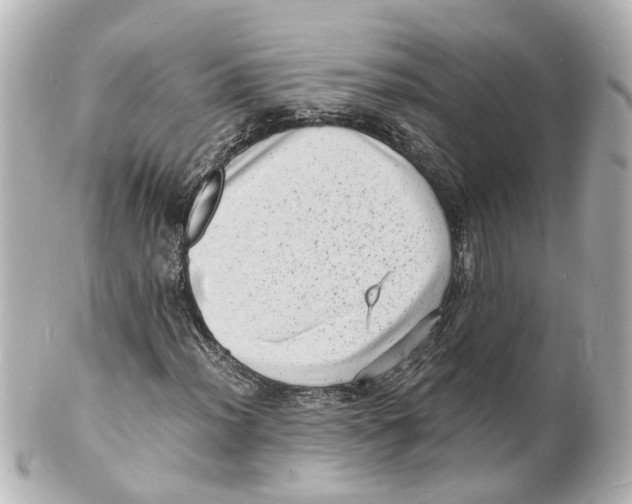 X0000101481012200808041123