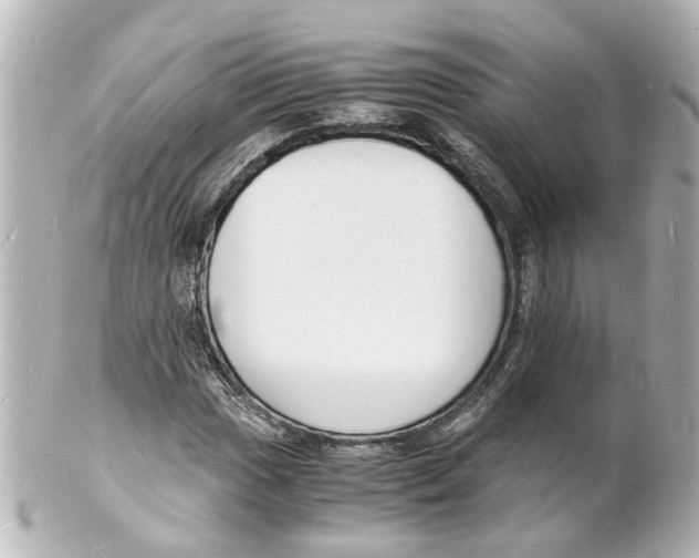 X0000101481017200808041123