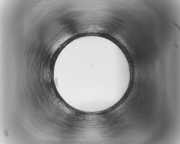 X0000101481018200808041123