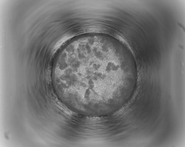 X0000101481019200808041123