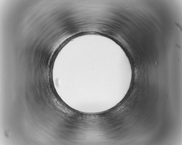 X0000101481020200808041123