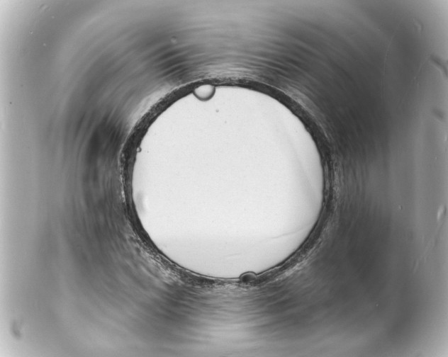 X0000101481022200808041123