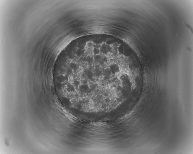 X0000101481023200808041123