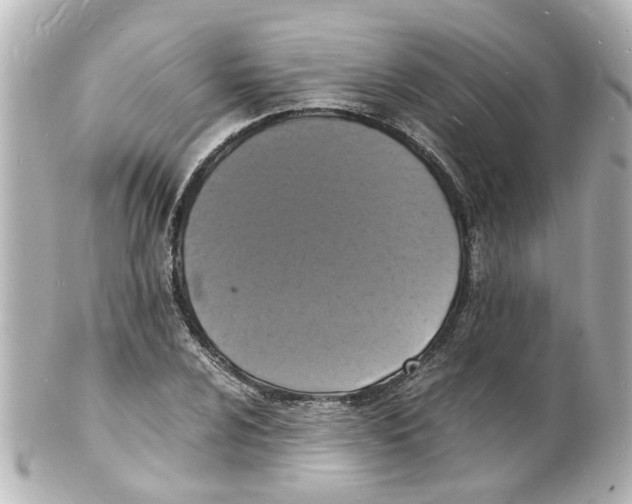 X0000101481024200808041123