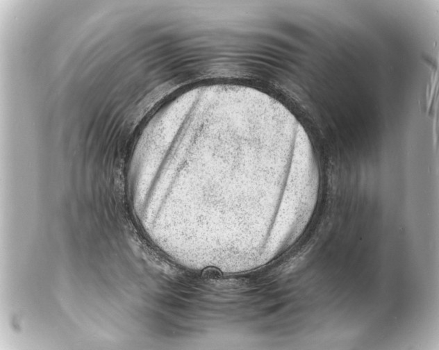 X0000101481025200808041124