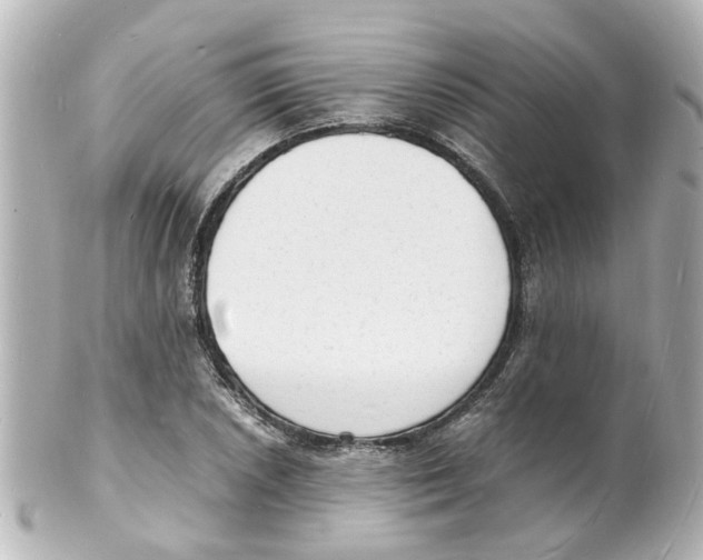 X0000101481026200808041124