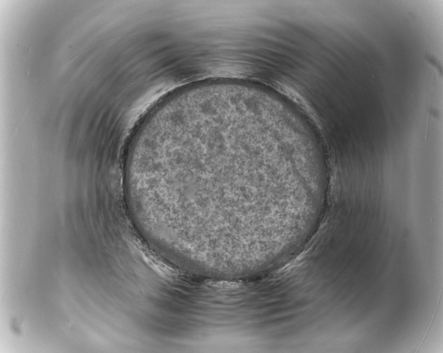 X0000101481027200808041124