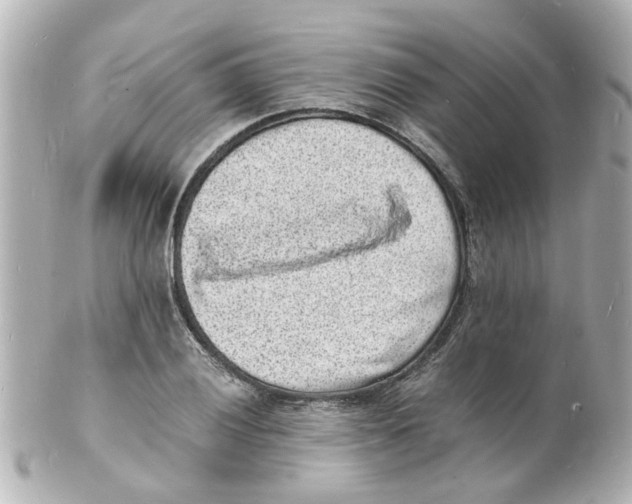 X0000101481028200808041124