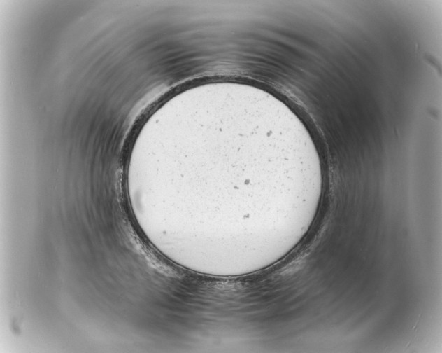 X0000101481029200808041124