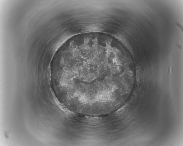 X0000101481031200808041124