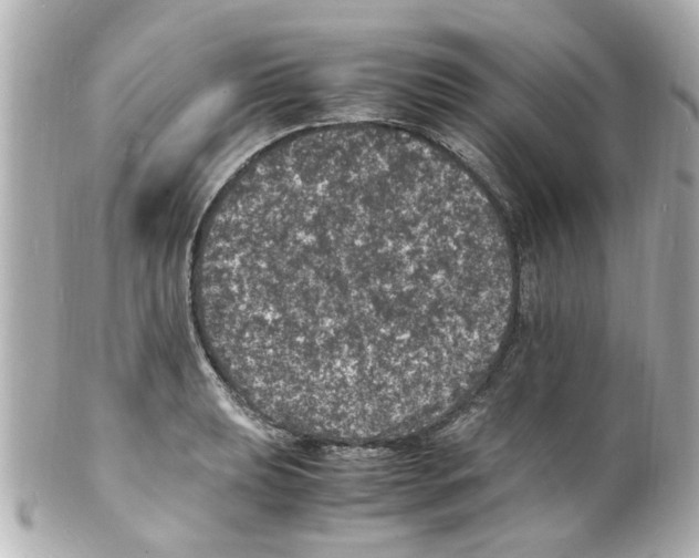 X0000101481039200808041124