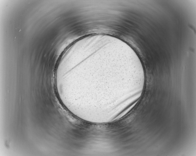 X0000101481040200808041124