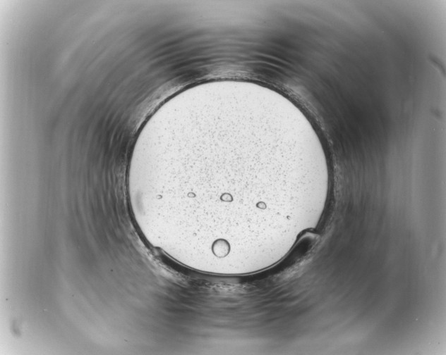 X0000101481041200808041124