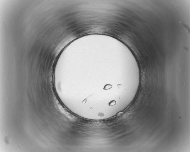 X0000101481042200808041124