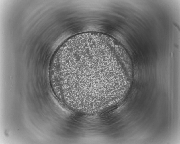 X0000101481043200808041124