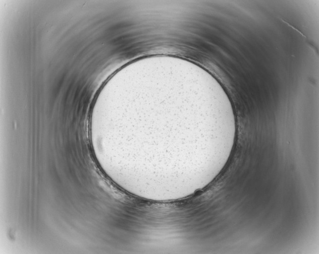 X0000101481044200808041124