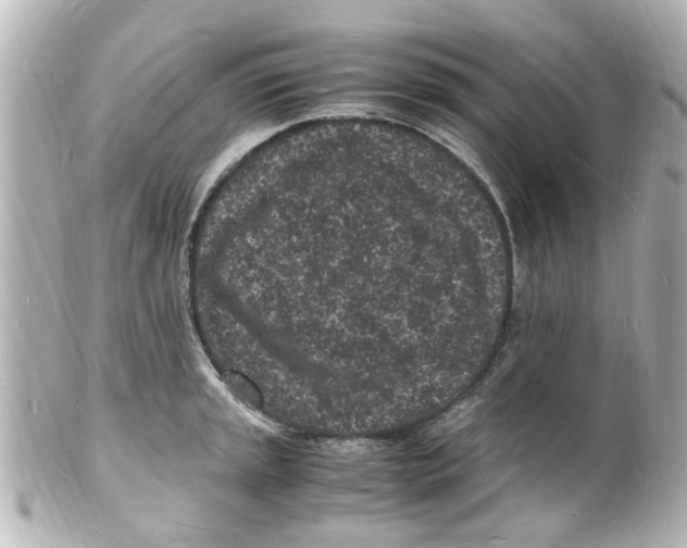 X0000101481045200808041124