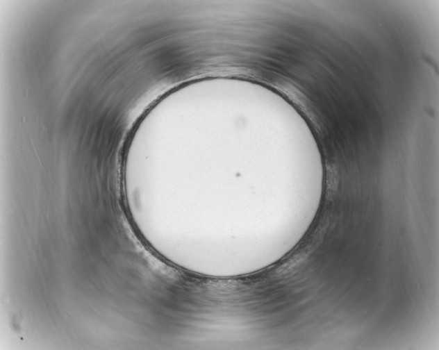 X0000101481046200808041124