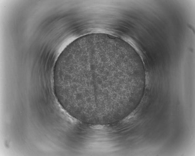 X0000101481048200808041124