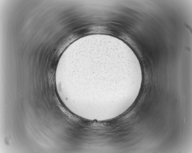 X0000101481049200808041124