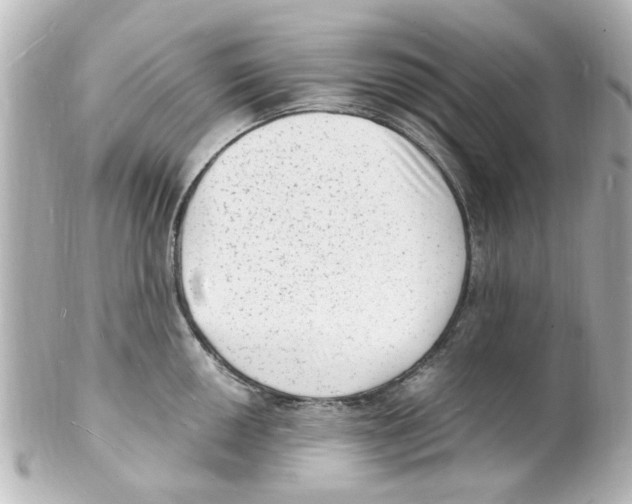 X0000101481050200808041124