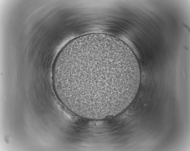 X0000101481051200808041124