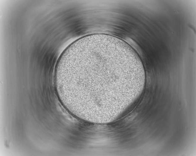 X0000101481052200808041124