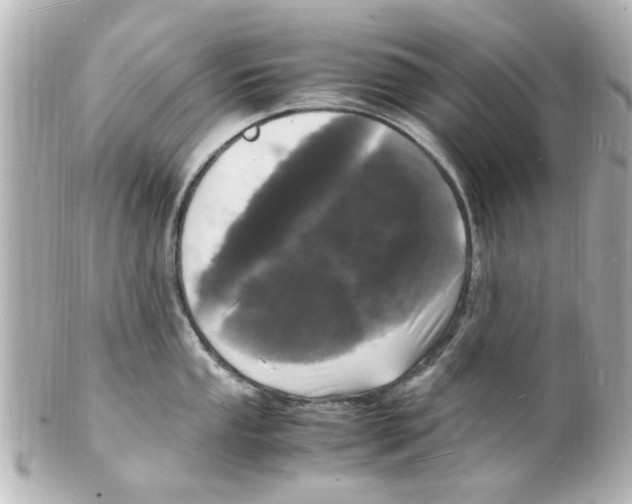 X0000101481053200808041124