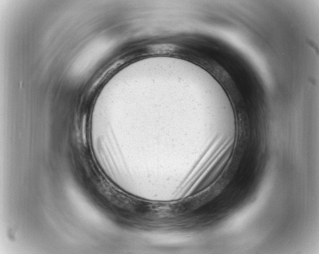 X0000101481054200808041124