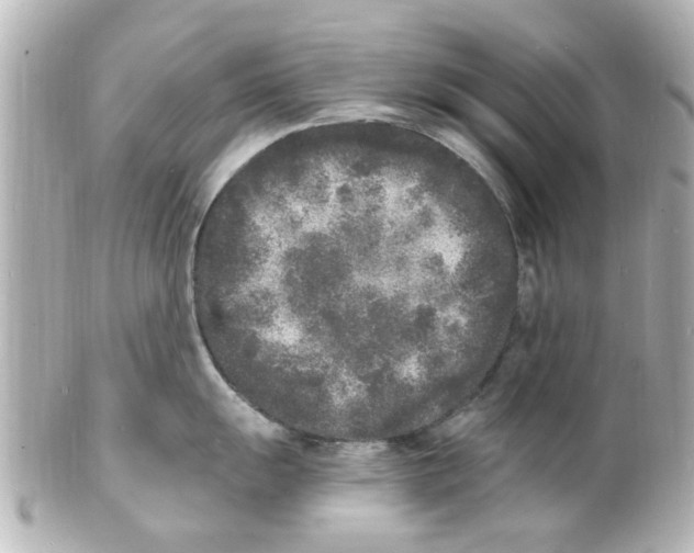 X0000101481055200808041124