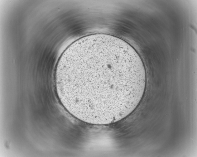 X0000101481056200808041124