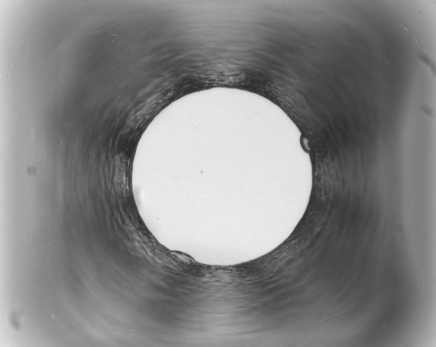 X0000101481058200808041123