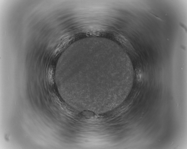 X0000101481060200808041123