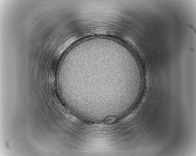 X0000101481065200808041123