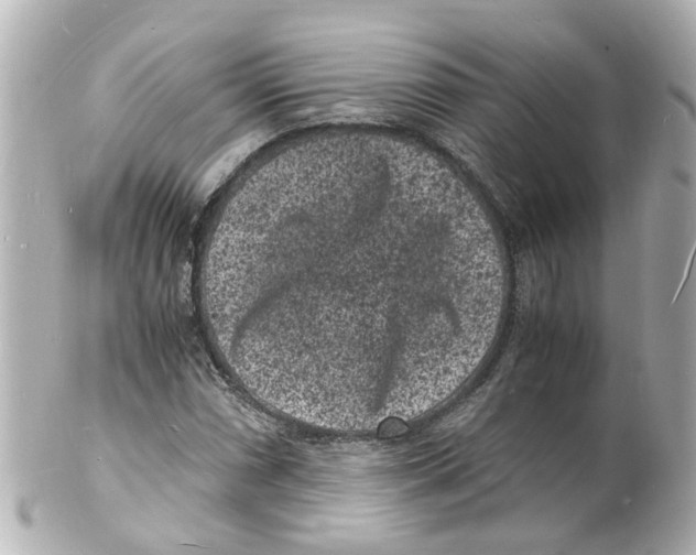 X0000101481066200808041123