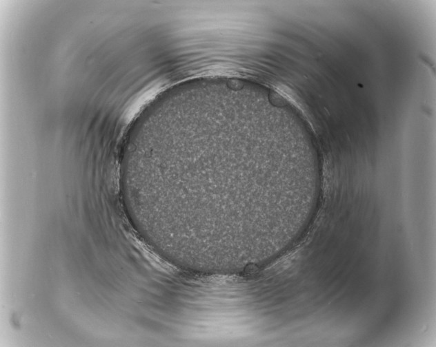 X0000101481067200808041123