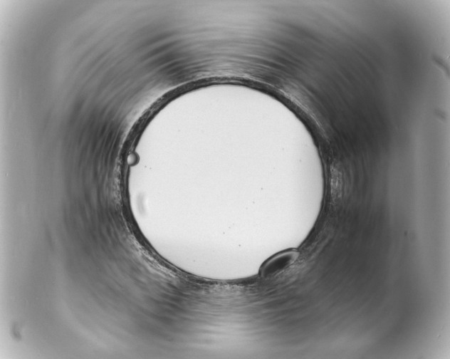 X0000101481068200808041123