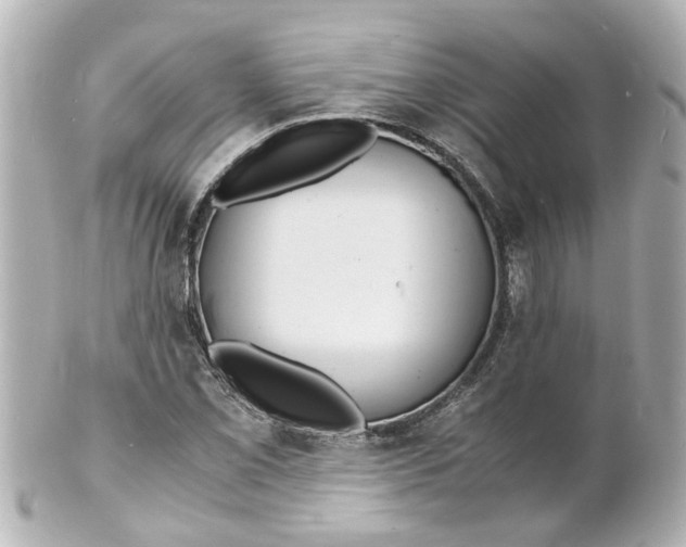 X0000101481069200808041123