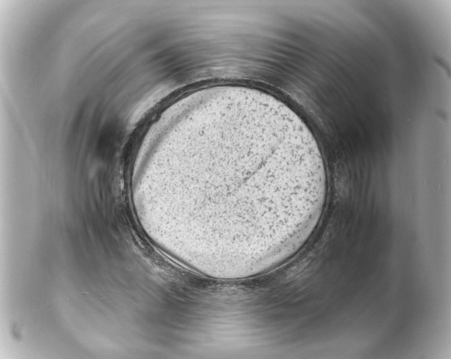 X0000101481070200808041123