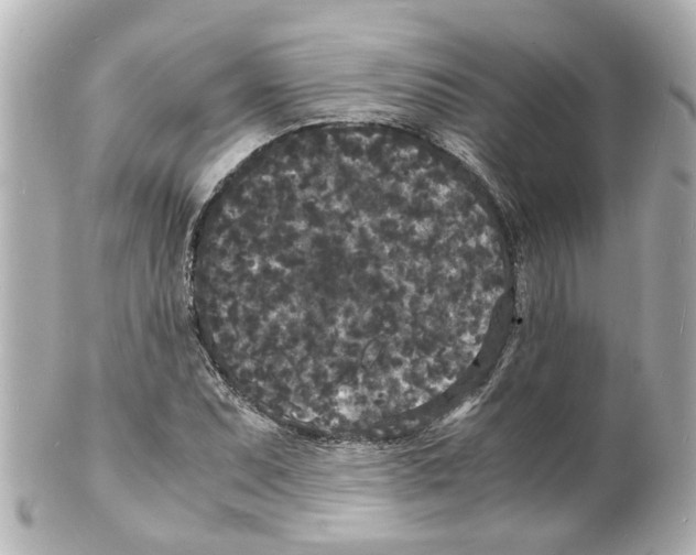 X0000101481071200808041123