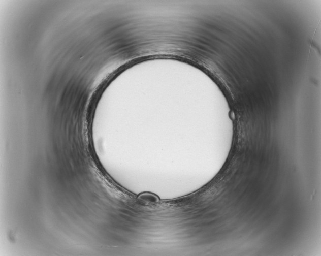 X0000101481072200808041123