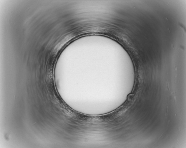 X0000101481073200808041123