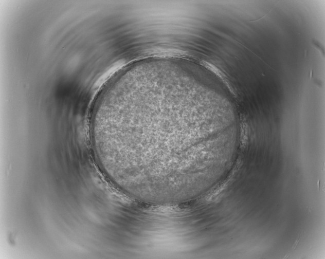 X0000101481074200808041123