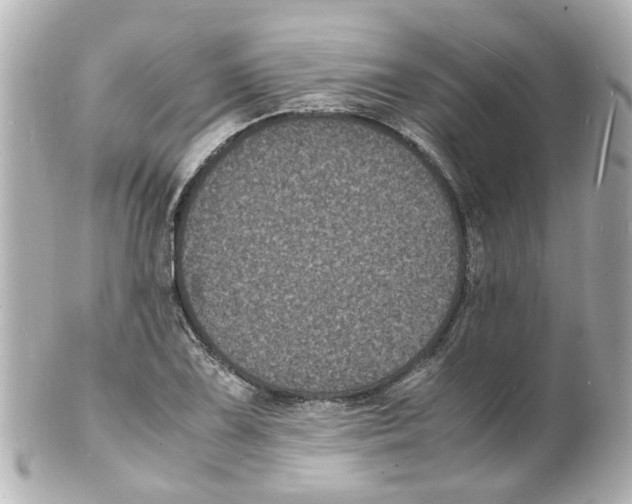 X0000101481075200808041123