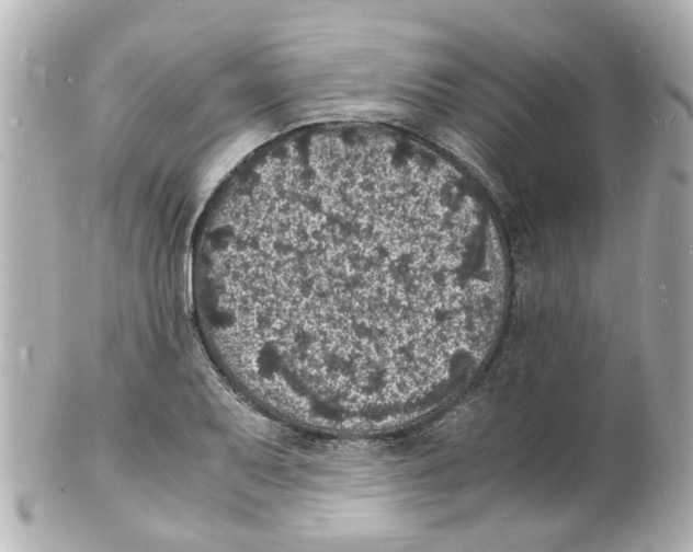 X0000101481079200808041123