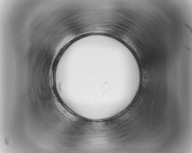 X0000101481080200808041123