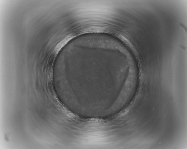 X0000101481081200808041123