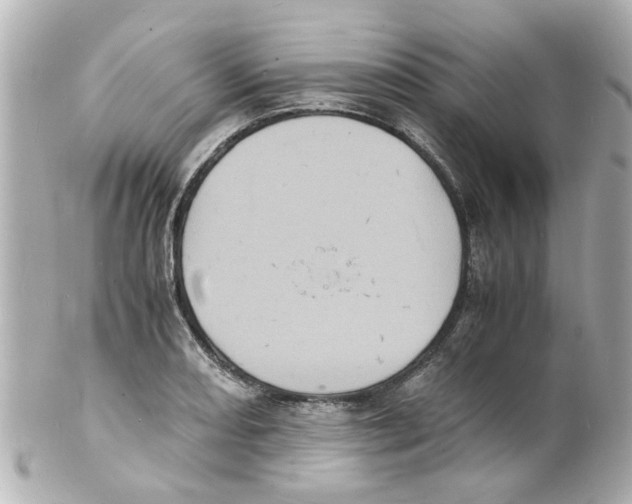 X0000101481082200808041123