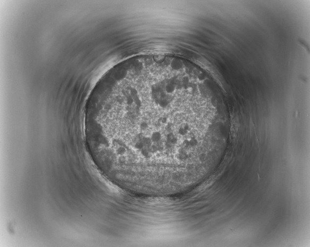 X0000101481083200808041123