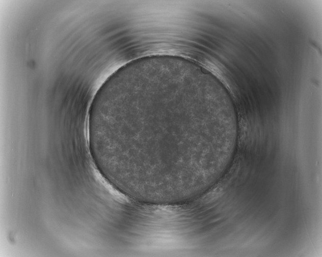 X0000101481084200808041123